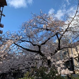 Meet your Posher, Serena